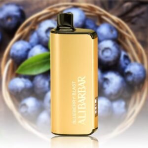 ALIBARBAR 9000 Blueberry Blast